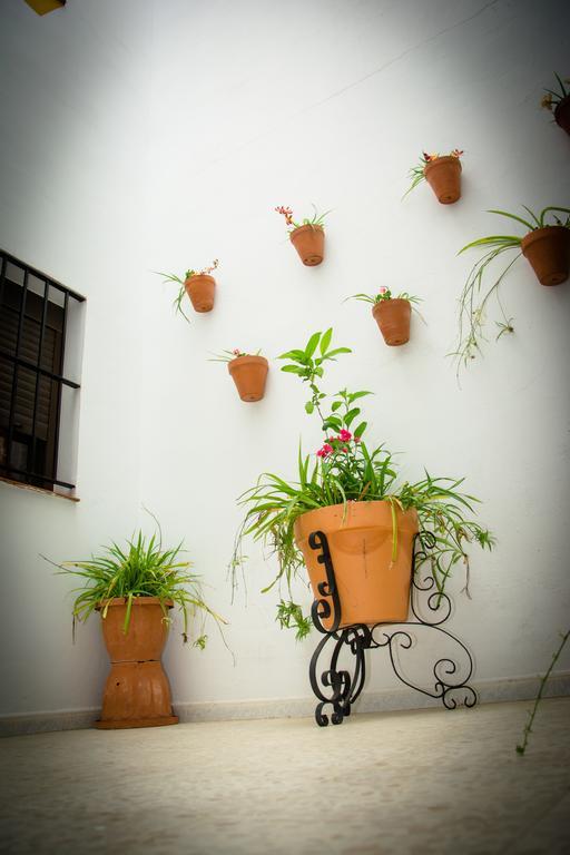 Hostal Malia Кониль-де-ла-Фронтера Экстерьер фото